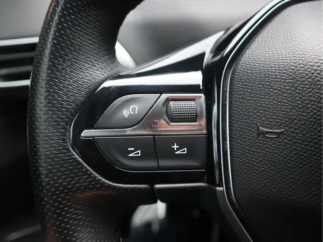 Peugeot 3008 GT Line 2019 Benzine 41