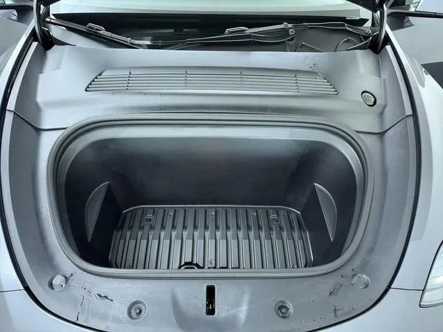 Tesla Model Y RWD 58 kWh 2023 Elektrisch 15