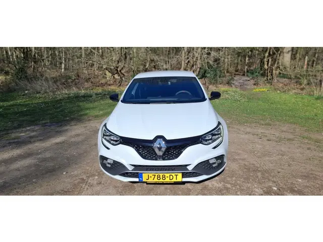 Renault Mégane 1.8 TCe 300 RS Trophy 2019 Benzine 9