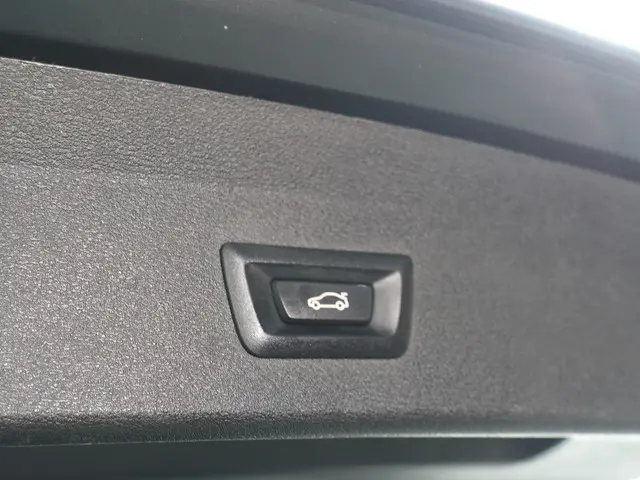 BMW X1 sDrive20i M Sport Aut- 2019 Benzine 42