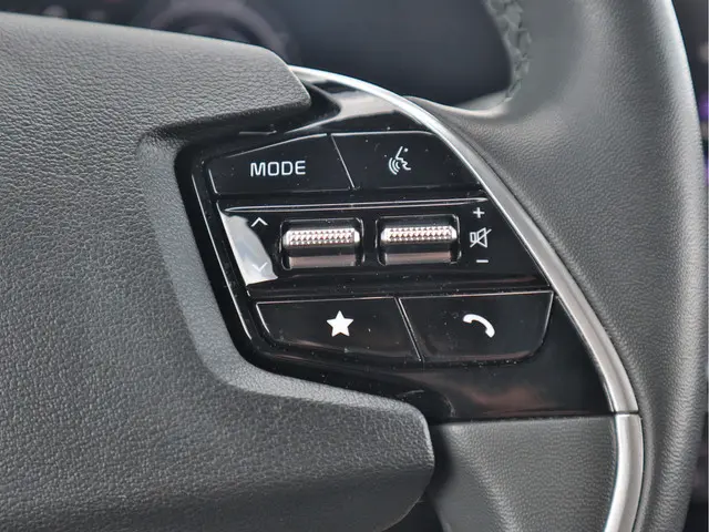 Kia Niro EV ExecutiveLine 64.8 kWh 2023 Elektrisch 15