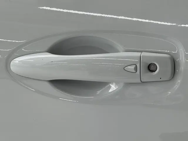 Renault Kadjar 1.3 TCe Black Edition 2021 Benzine 14