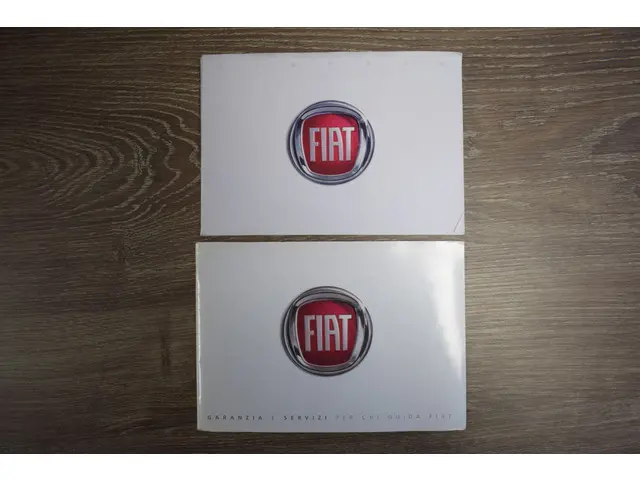 Fiat 500 1.2 Lounge 2014 Benzine 26