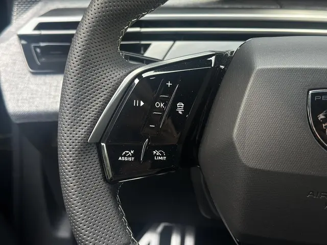 Peugeot e-3008 GT Avantage 210 73 kWh 2025 Elektrisch 28