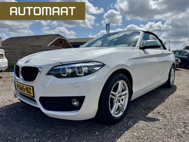 BMW 2 Serie Cabrio 220i Executive 2017 Benzine 4