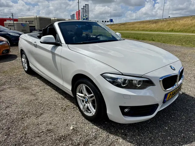BMW 2 Serie Cabrio 220i Executive 2017 Benzine 2