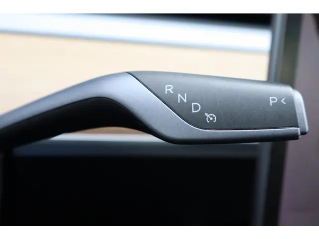 Tesla Model 3 Long Range AWD 75 kWh 2019 Elektrisch 28