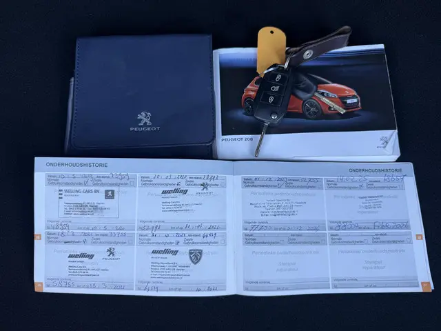 Peugeot 208 1.2 PureTech Blue Lion 2016 Benzine 23