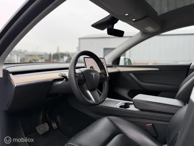 Tesla Model Y Long Range AWD 75 kWh 2021 Elektrisch 10