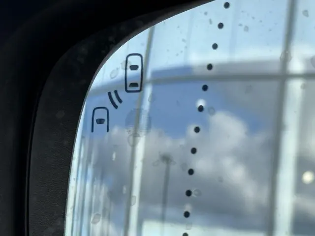 Renault Kadjar 1.3 TCe Intens 2019 Benzine 13