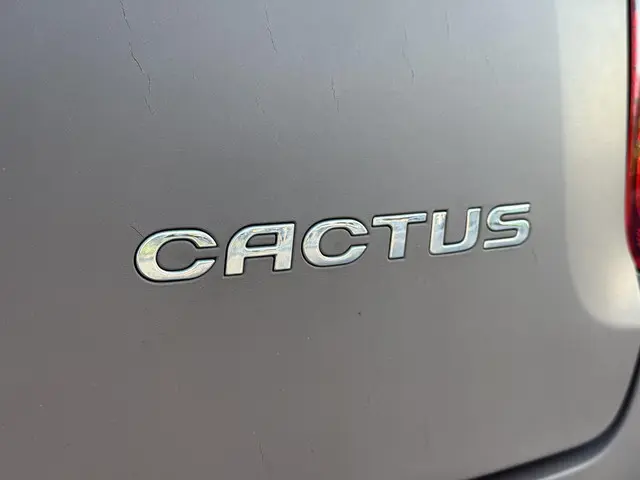 Citroën C4 Cactus 1.2 e-VTi Shine 2014 Benzine 33