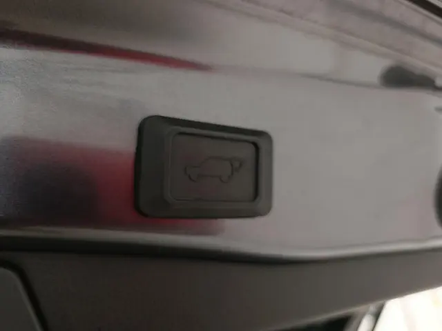 Toyota RAV4 2.0 VVT-iE Dynamic 2021 Benzine 32