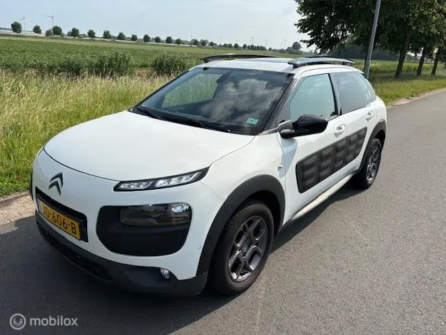 Citroën C4 Cactus 1.2 PureTech Business Plus 2016 Benzine 5