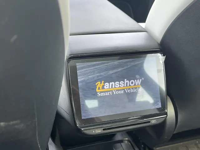 Tesla Model Y RWD 58 kWh 2022 Elektrisch 14