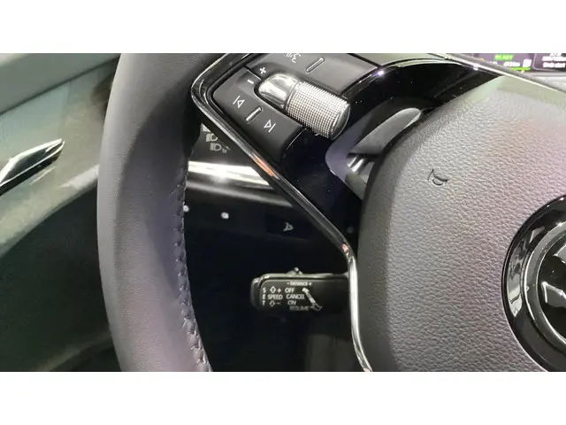 Škoda Enyaq iV 132 kW / 180 pk SUV 2024 Elektrisch 19