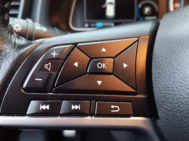 Nissan Leaf N-Connecta 40 kWh 2019 Elektrisch 15