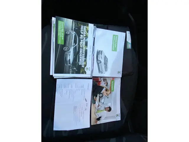 Škoda Fabia 1.2 TSI Comfort LPG-G3 2013 Benzine 14