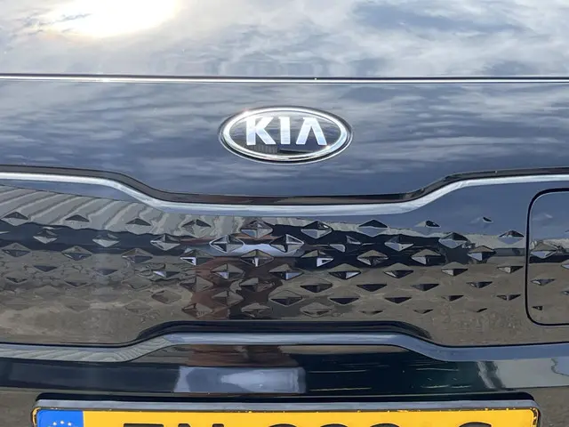 Kia e-Niro ExecutiveLine 64 kWh 2019 Elektrisch 47
