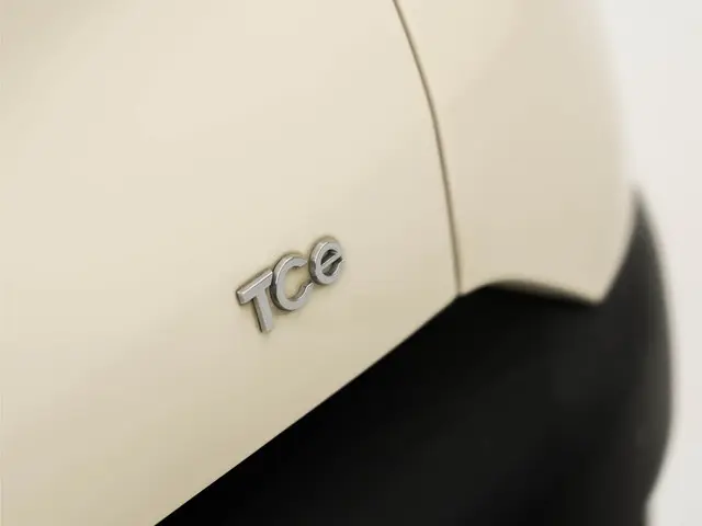 Renault Captur 1.2 TCe Dynamique Sport 2014 Benzine 26