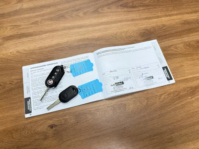 Fiat Panda 1.2 Lounge 2018 Benzine 20