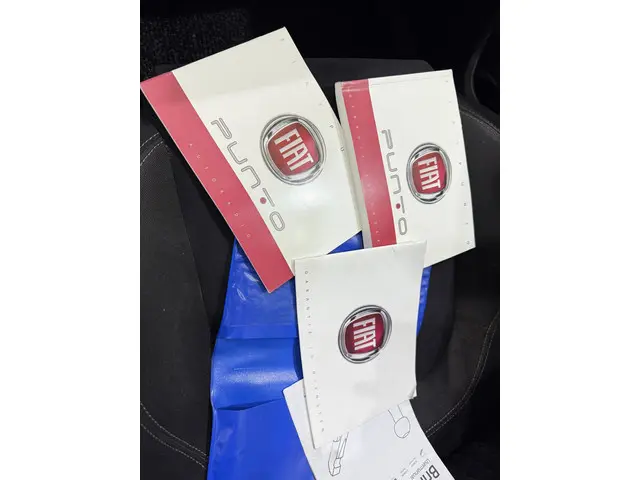 Fiat Punto 0.9 TwinAir Turbo 100 Lounge 2015 Benzine 37