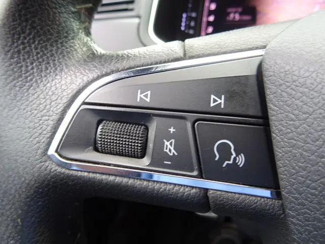 SEAT Ibiza 1.0 TSI Excellence 2020 Benzine 27