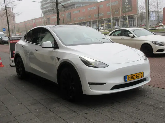 Tesla Model Y Long Range AWD 75 kWh 2021 Elektrisch 4