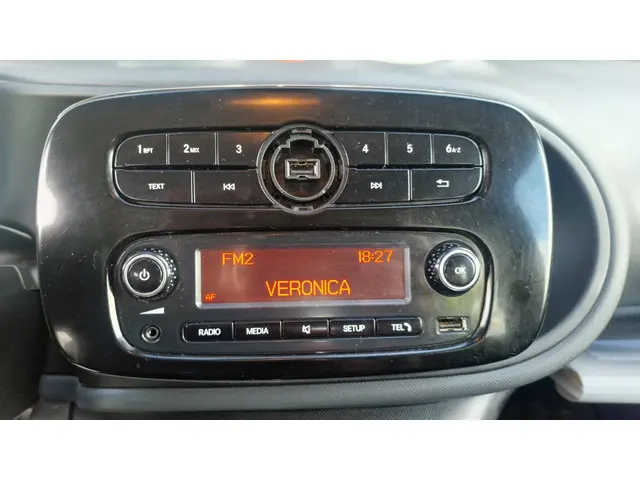 Smart Forfour 1.0 Pure 2016 Benzine 11