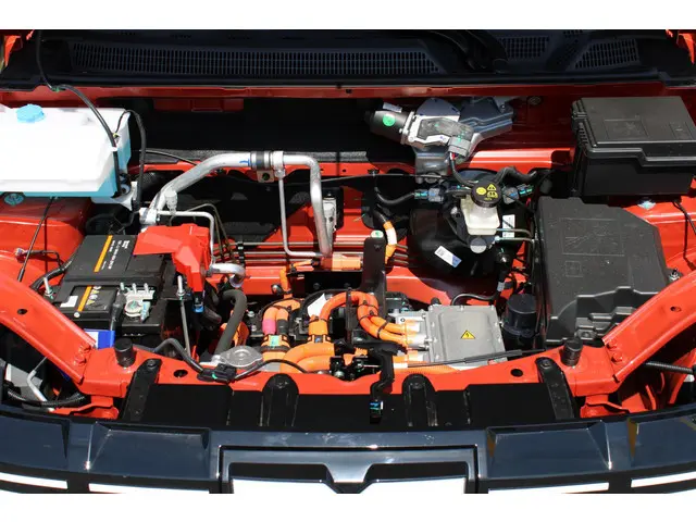 Dacia Spring Expression 65 2025 Elektrisch 29