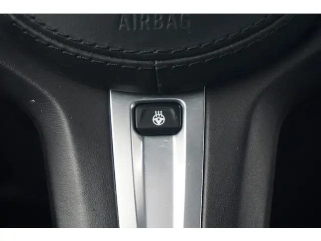 BMW X4 xDrive20i 2019 Benzine 18