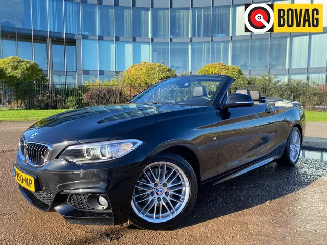 BMW 2 Serie Cabrio 220i M Sport 2016 Benzine