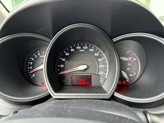 Kia Rio 1.2 CVVT Plus Pack Airco Cruise 2014 Benzine 18