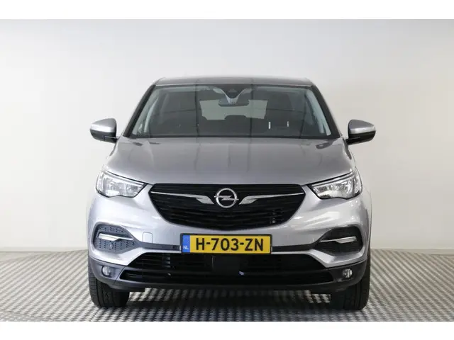 Opel Grandland X 1.2 Turbo 120 Jaar Edition 2019 Benzine 31