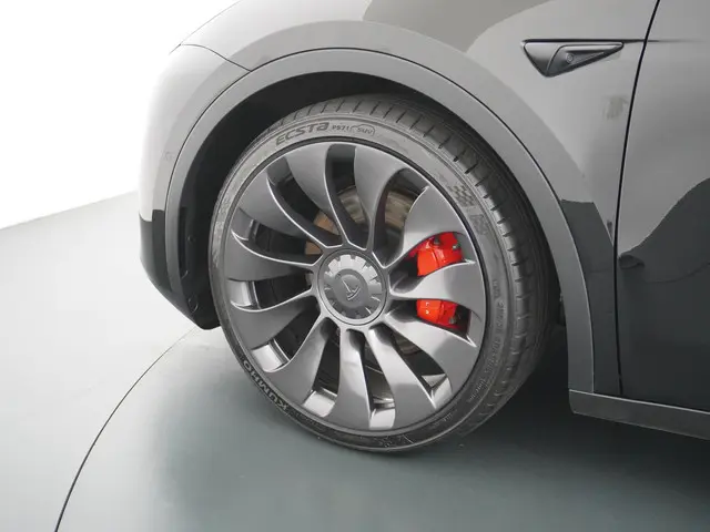 Tesla Model Y Performance AWD 75 kWh 2022 Elektrisch 13