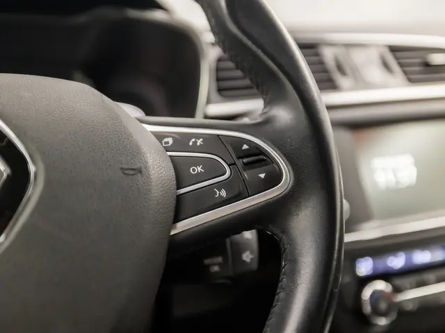 Renault Kadjar 1.2 TCe Intens Sport 2017 Benzine 21