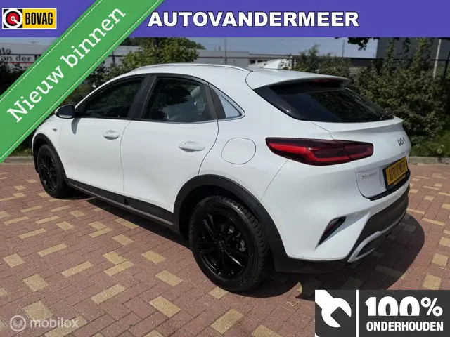 Kia XCeed 1.5 T-GDi DynamicPlusLine 2023 Benzine 2