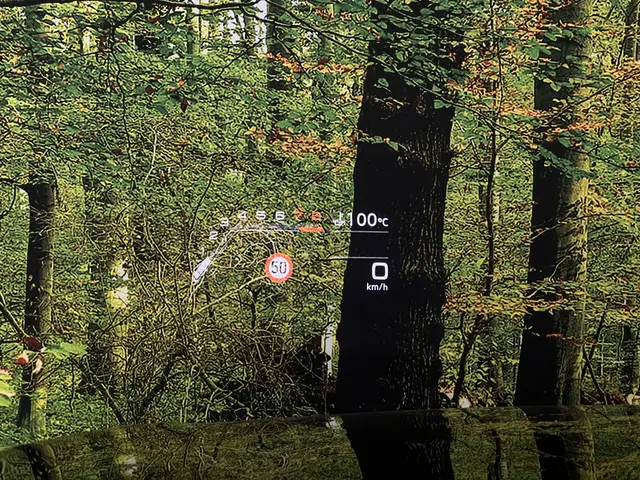 Audi RSQ8 4.0 TFSI RS Q8 quattro 2021 Benzine 34