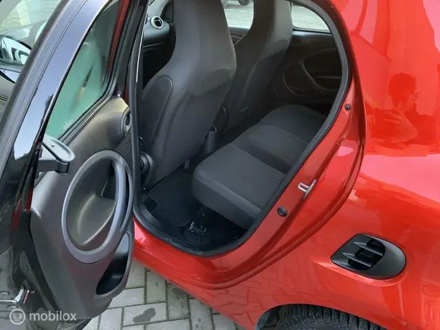 Smart Forfour 1.0 Business Solution 2018 Benzine 10