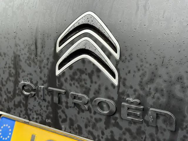 Citroën C4 Cactus 1.2 PureTech Shine 2016 Benzine 31