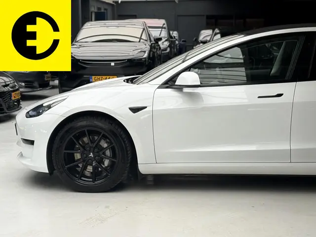 Tesla Model 3 Standard RWD Plus 60 kWh 2021 Elektrisch 17