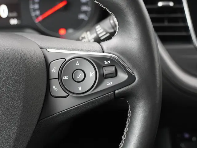 Opel Grandland X 1.2 Turbo 120 Jaar Edition 2019 Benzine 16
