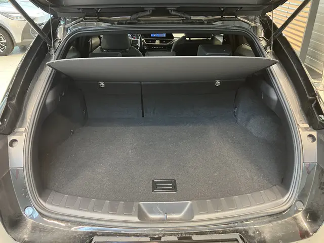 Lexus UX 250h Business Line 2023 Hybride Benzine 20