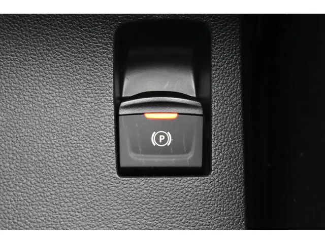 Dacia Sandero Stepway Limited Edition 2026 Benzine 29