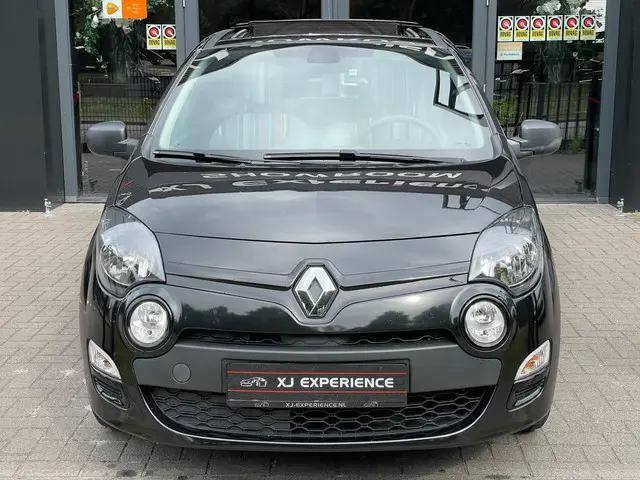 Renault Twingo 1.2 16V Acces OPEN DAK PANO 2013 Benzine