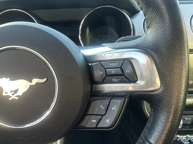 Ford Mustang Fastback 2.3 EcoBoost 2016 Benzine 16