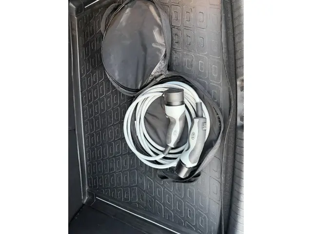 Kia e-Niro DynamicLine 64 kWh 2020 Elektrisch 12