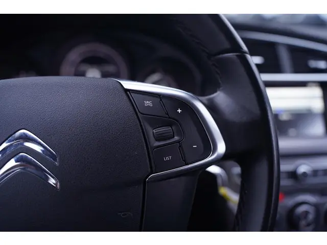 Citroën C4 1.6 BlueHDi Business 2017 Diesel 21