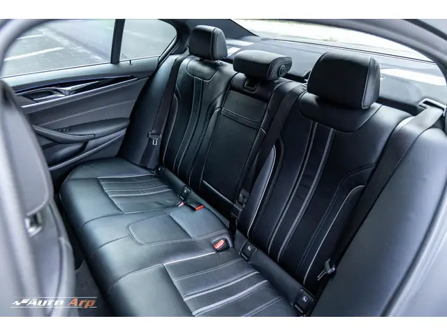 BMW 5 Serie 520d High Executive 2018 Diesel 22