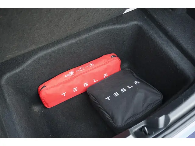 Tesla Model 3 Standard RWD Plus 60 kWh 2020 Elektrisch 13