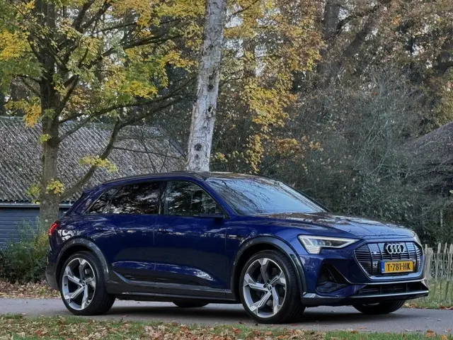 Audi e-tron S quattro 95 kWh 2021 Elektrisch 30